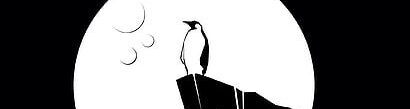 Linux Komutları: A'dan Z'ye Kapsamlı Rehber